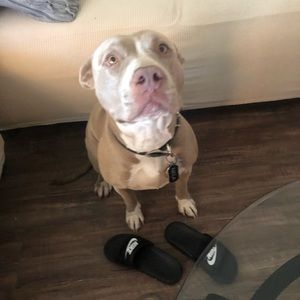 Meet your Posher, Mariah ひ